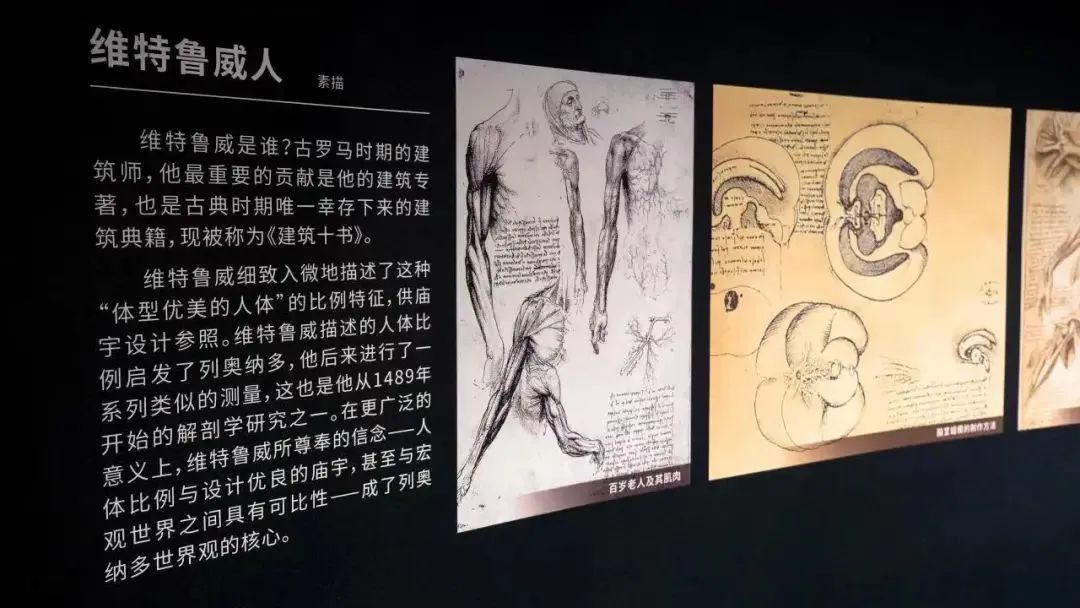 快来看展啦！沉浸式解读达·芬奇的创意设计